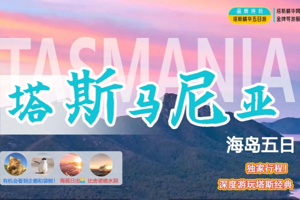 塔州5日海岛游