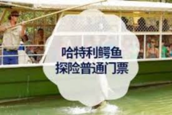 哈特利鳄鱼冒险公园门票（可选接送/和考拉共进早餐）