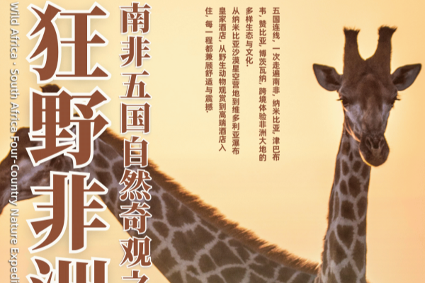 狂野非洲 · 南非五国自然探秘19天16晚之旅
