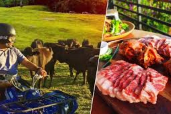 酷牛农场日落M7和牛BBQ晚餐