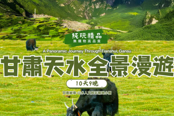 甘肅天水10天9晚全景漫遊