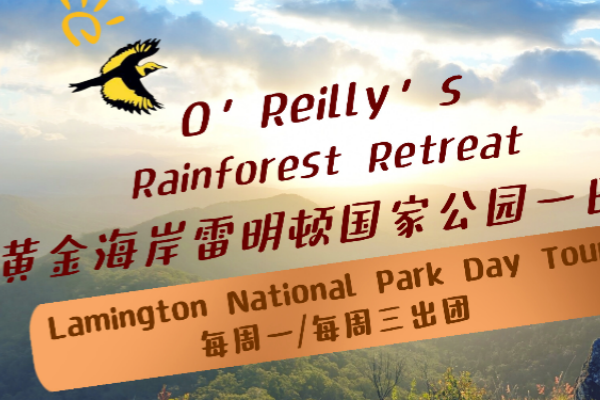 雷明顿国家公园+奥莱利雨林山庄一日游