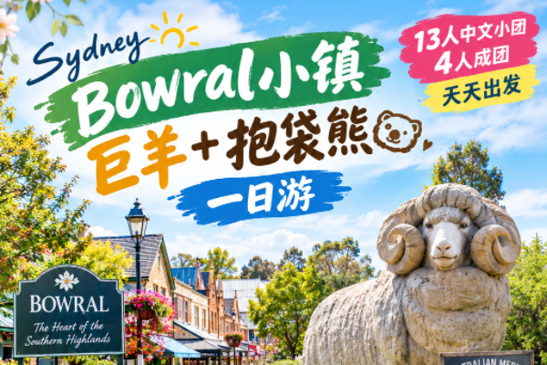 悉尼Bowral小镇+Big Merino巨羊+抱袋熊一日游