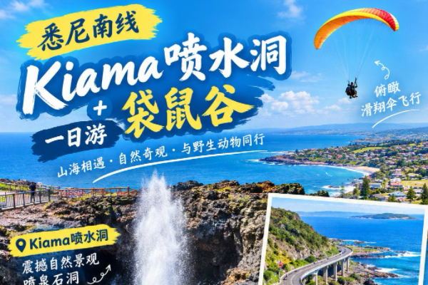 悉尼南线kiama喷水洞+袋鼠谷一日游